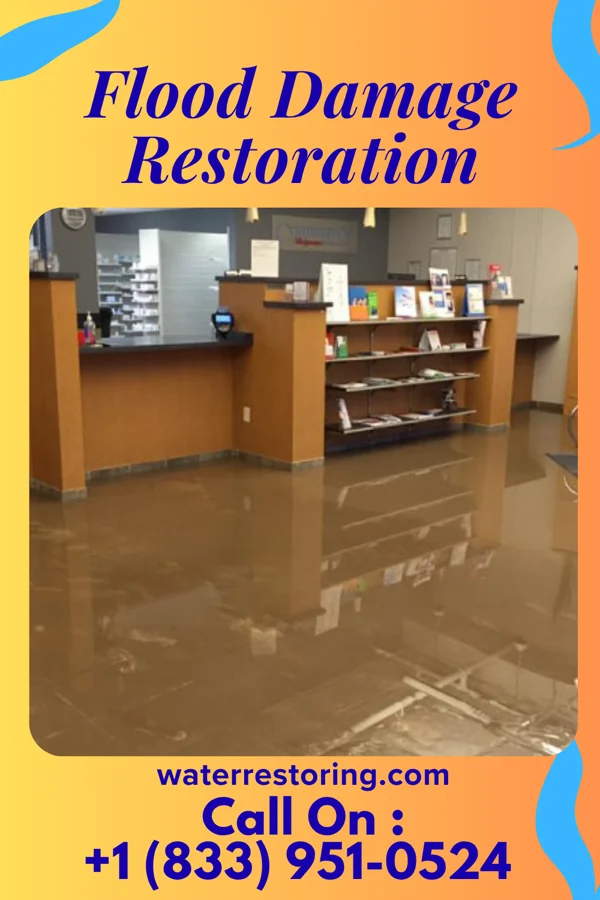 Flood Damage Restoration in Magnolia, MS