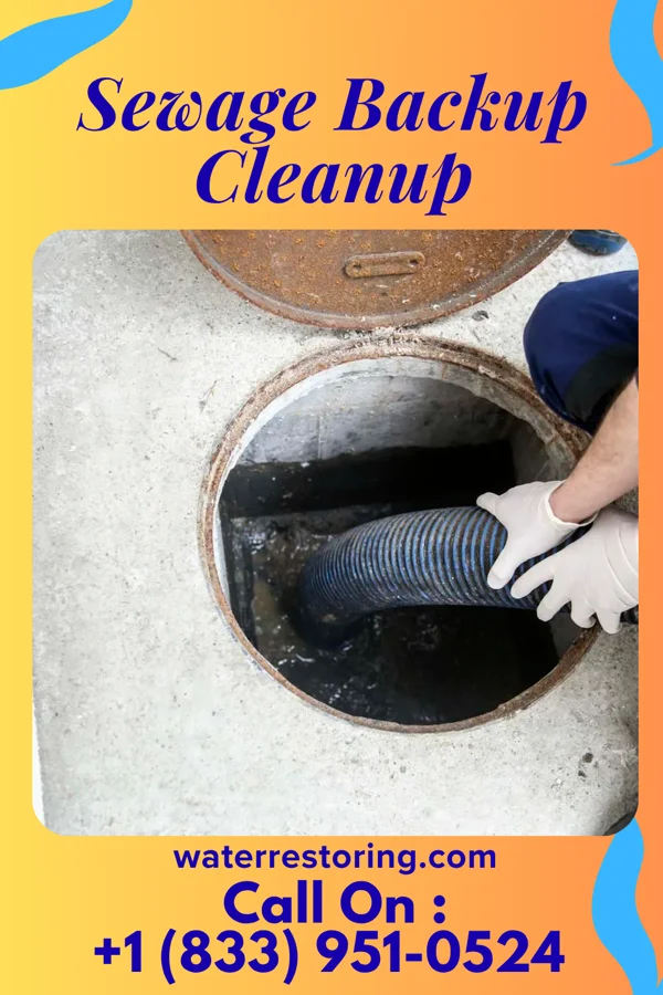 Sewage Backup Cleanup in Magnolia, MS