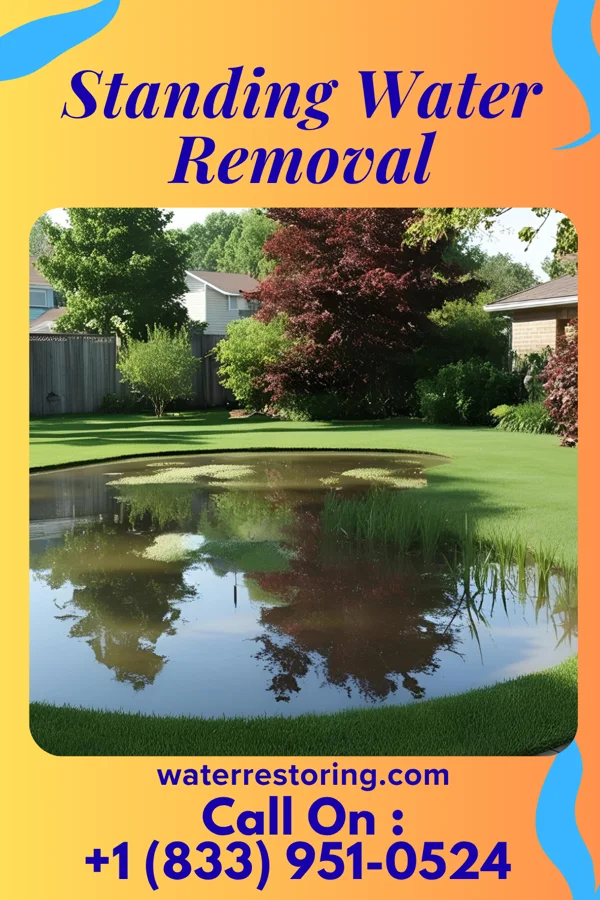 Standing Water Removal in Magnolia, MS